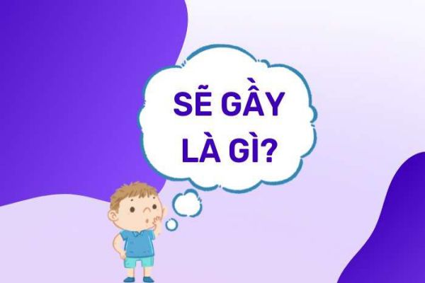 se-gay-la-gi